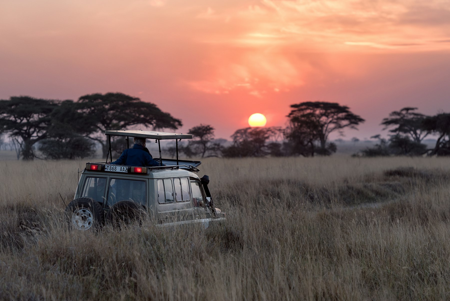 Uganda vs Rwanda gorilla trekking
